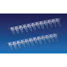 BGN006  Bande 8 microtubes PCR, 0.2 mL, B/200 Endo plasticware