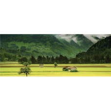 FS94P0110 - boite de 100 filtres plisses exempt de phosphate, 110 mm 