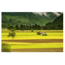 FT203F1058C	paq. de 100 f. carton filtre 400g, 105x580 mm