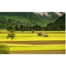 FT207F1111C	paq. de 100 f. de carton filtre 250g, 105x105 mm