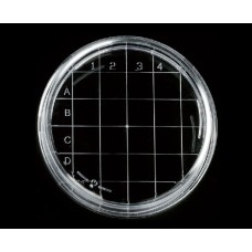 BRB012 Plaque Rodac quadrilleé, B/20