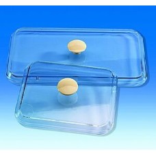 BTL509	Couvercle pour plateaux PS, 290 x 160 mm