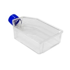 CGR006	Flacon culture cellulaire traité, 175cm2, 600mL, standard, P/50