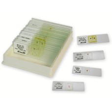 QGR001	Collection d'Histologie Animale, 24 prép. 