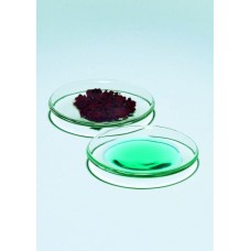 1060/04D - Verre de montre diam. exterieur 40