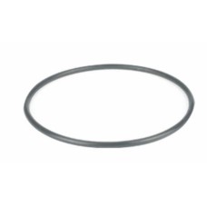 366022 - Joint torique de rechange pour dessiccateurs à vide WHEATON Dry-Seal®, 100 mm, en silicone 