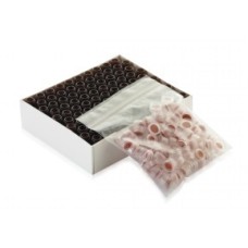 W225172-02 - E-Z Vial® haut serti en verre brun de Type I, 12 x 32, avec scellage naturel à septum PTFE/silicone 