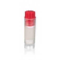 W985917 - Fiole cryogenique CryoELITE® autoportante à fond conique 2 mL en polypropylene, avec pastille d'annotation et bouchon rouge à filetage interne 