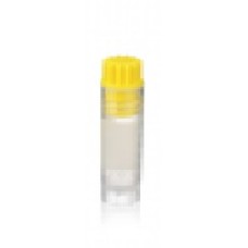 W985919 - Fiole cryogenique CryoELITE® autoportante à fond conique 2 mL en polypropylene, avec pastille d'annotation et bouchon jaune à filetage interne 